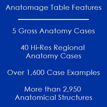 Anatomage Features